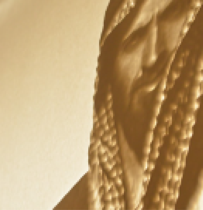 Imagen del carrusel del proyecto