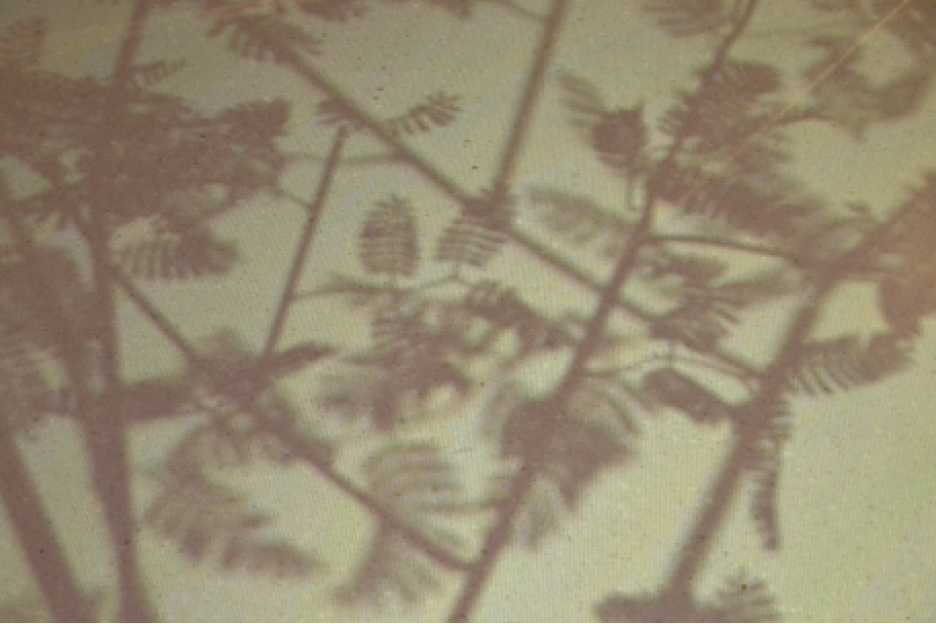 Imagen del carrusel del proyecto