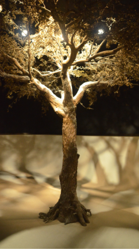 Imagen del carrusel del proyecto