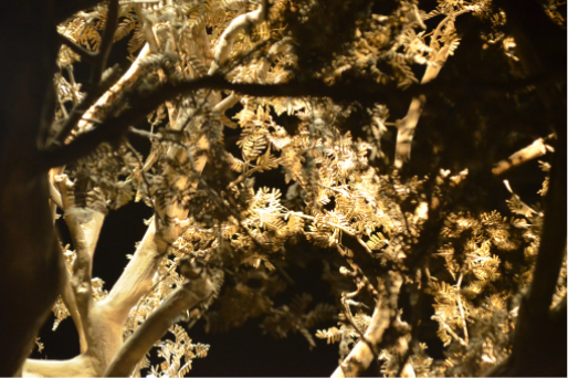 Imagen del carrusel del proyecto