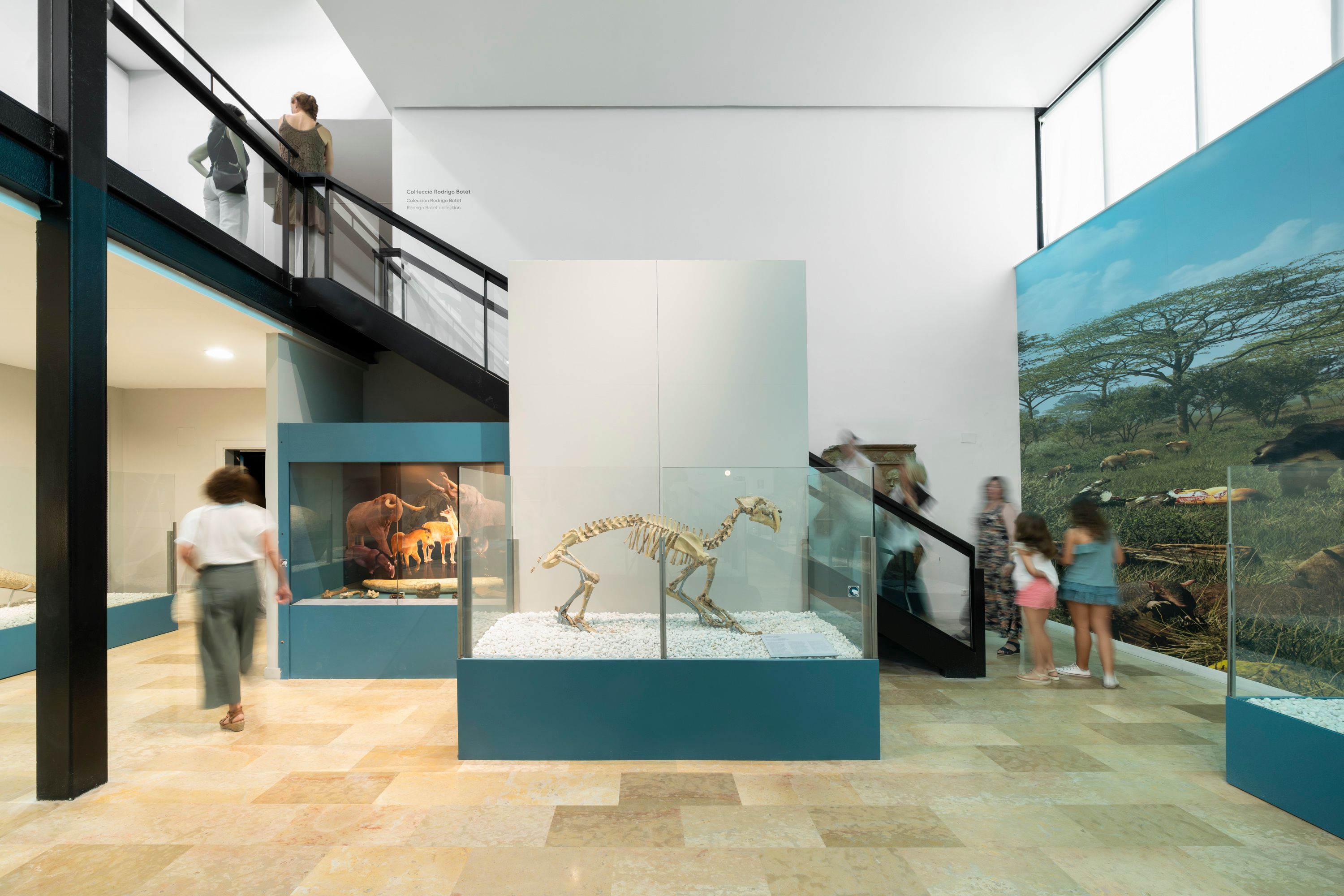 Imagen del carrusel del proyecto