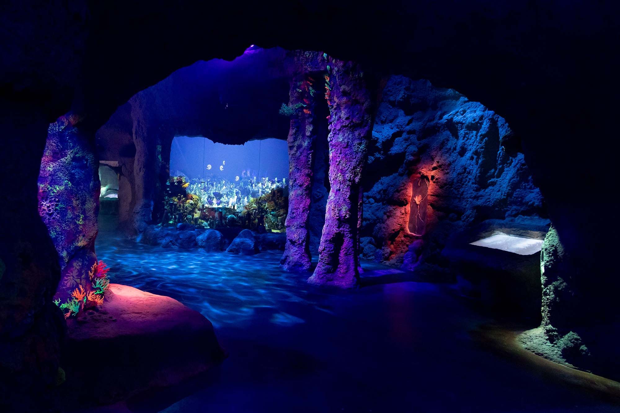 Imagen del carrusel del proyecto