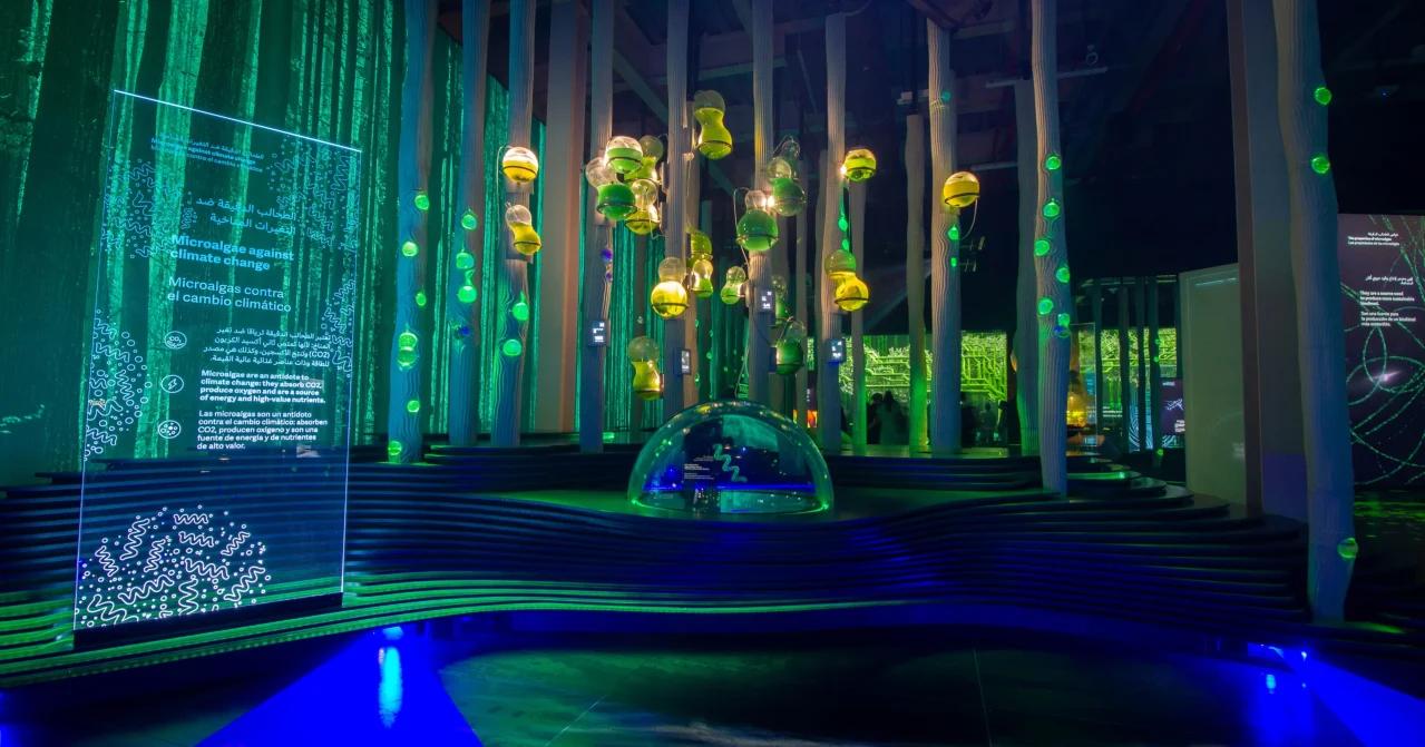 Imagen del carrusel del proyecto