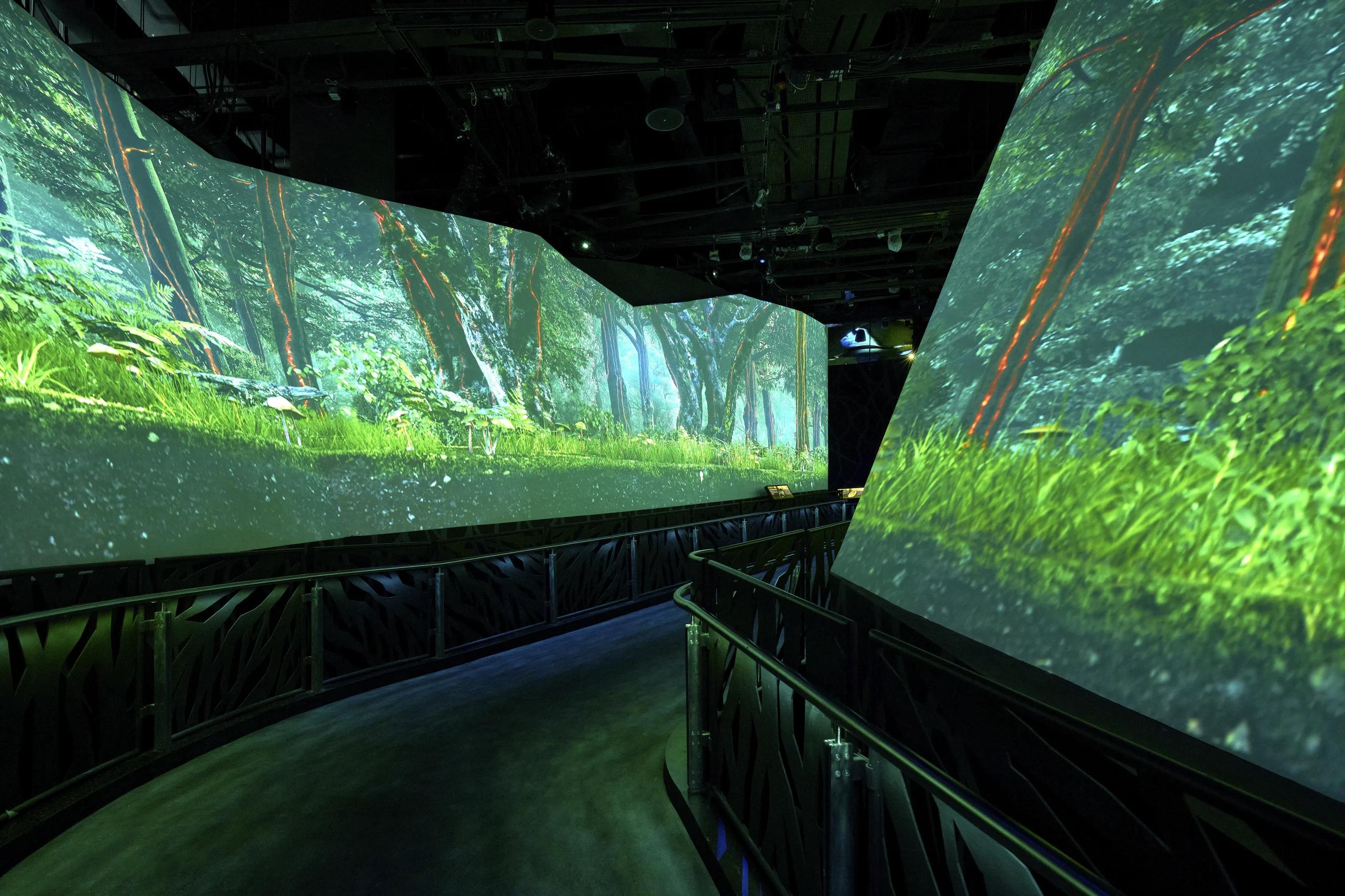 Imagen del carrusel del proyecto