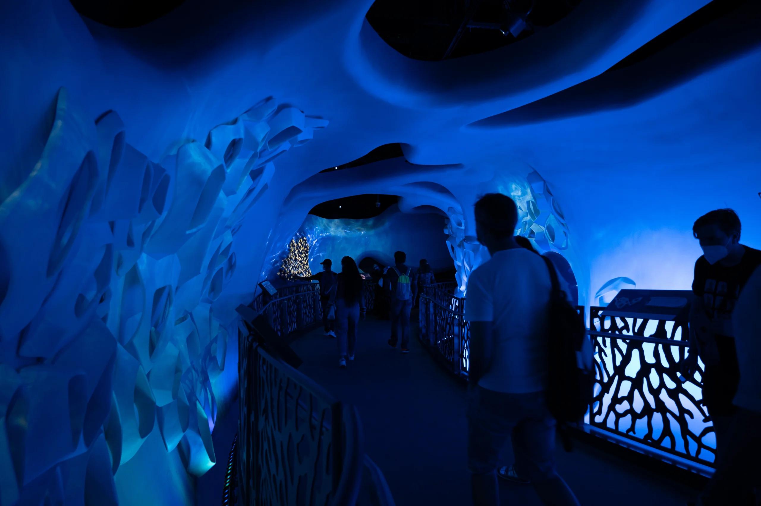 Imagen del carrusel del proyecto